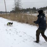 Sportrening i snøværet